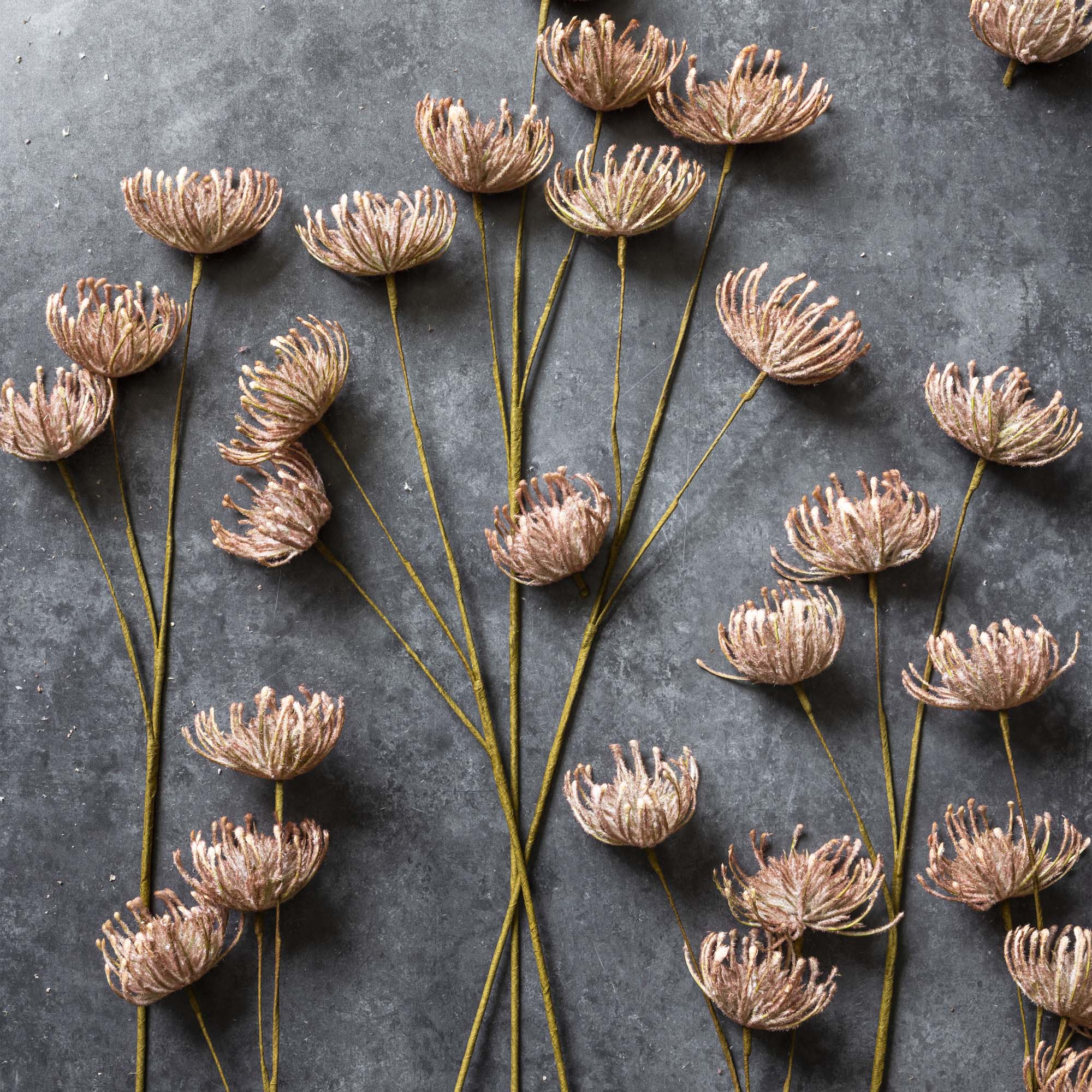 Abigail Ahern Faux Leucospermum in Blush on a grey background at Addison West
