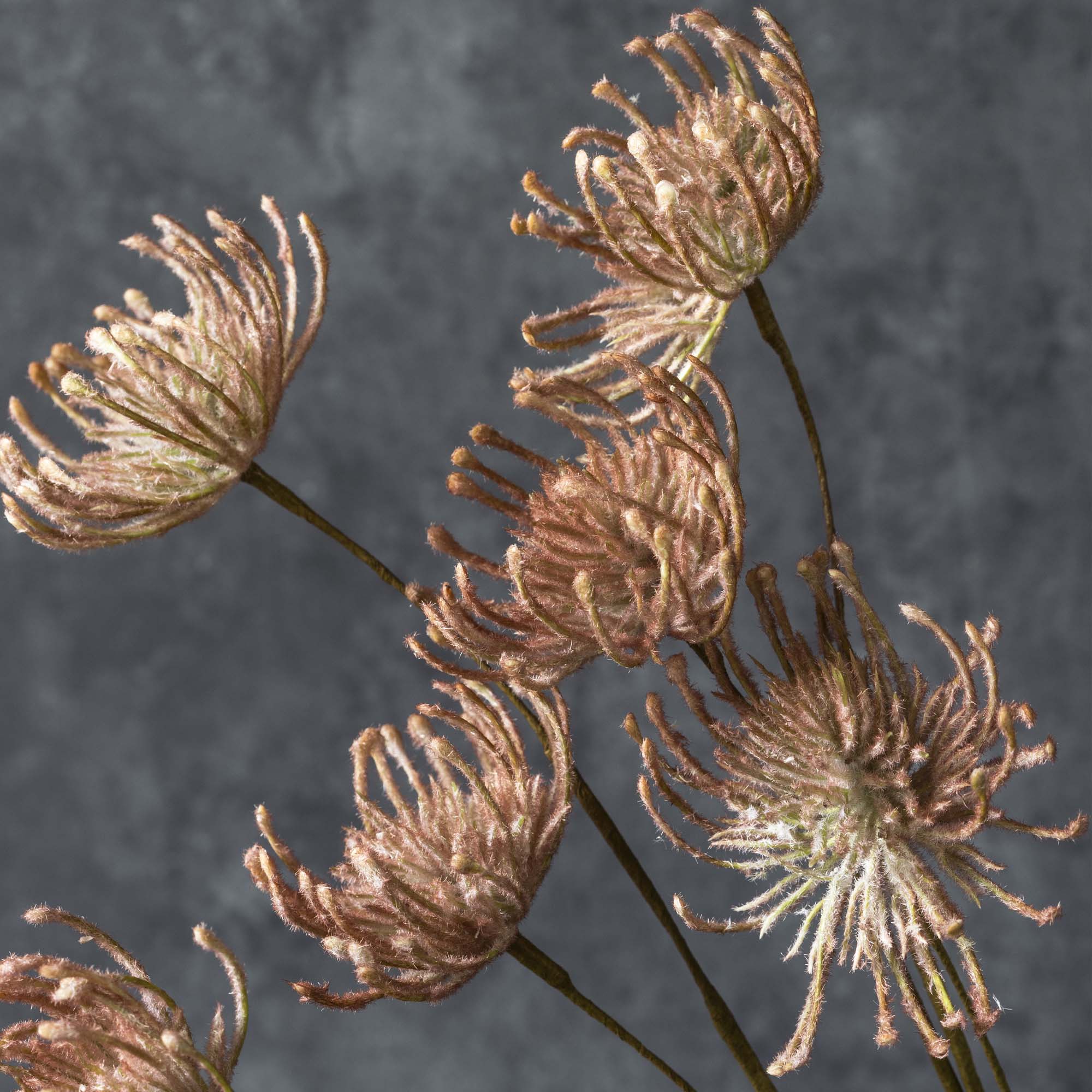 Close up of Abigail Ahern Faux Leucospermum in Blush in a vase on a grey background at Addison West