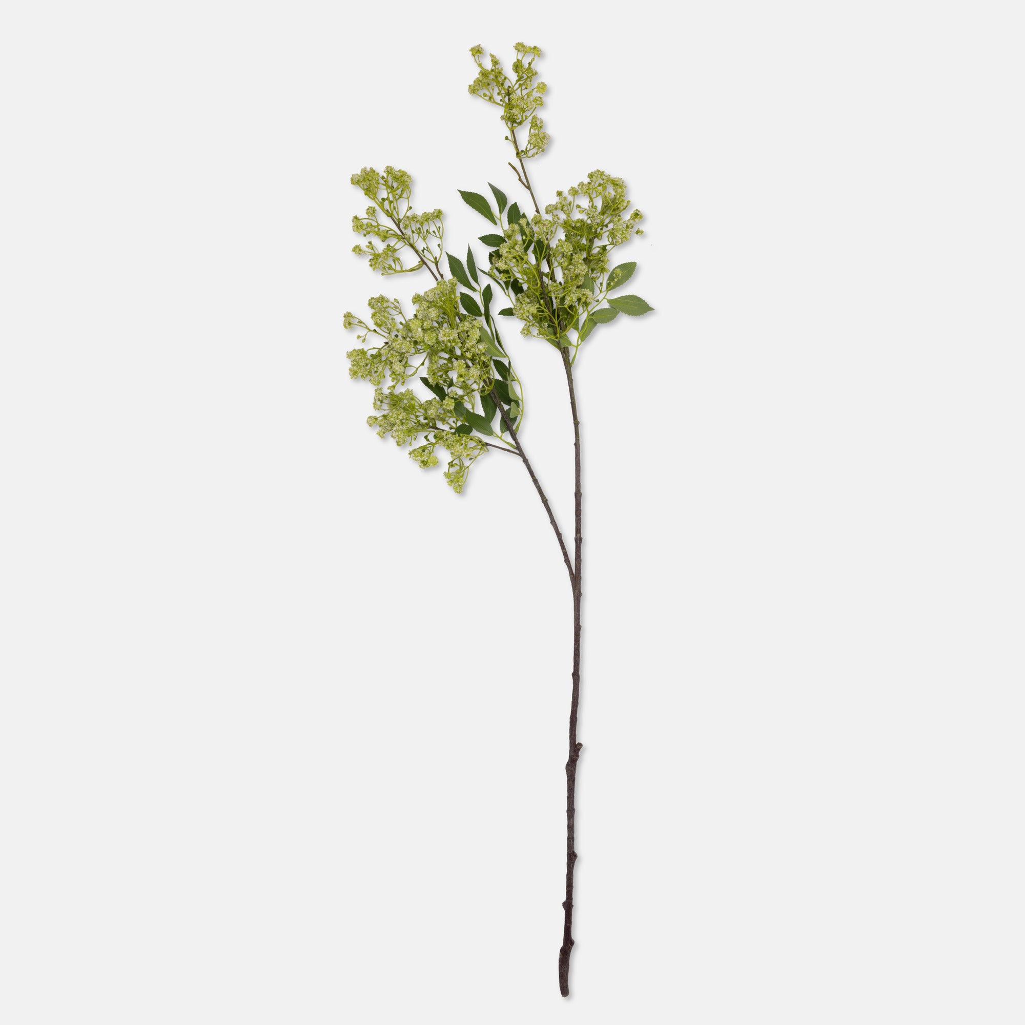Abigail Ahern Faux Summer Garden Branch on a white background at Addison West