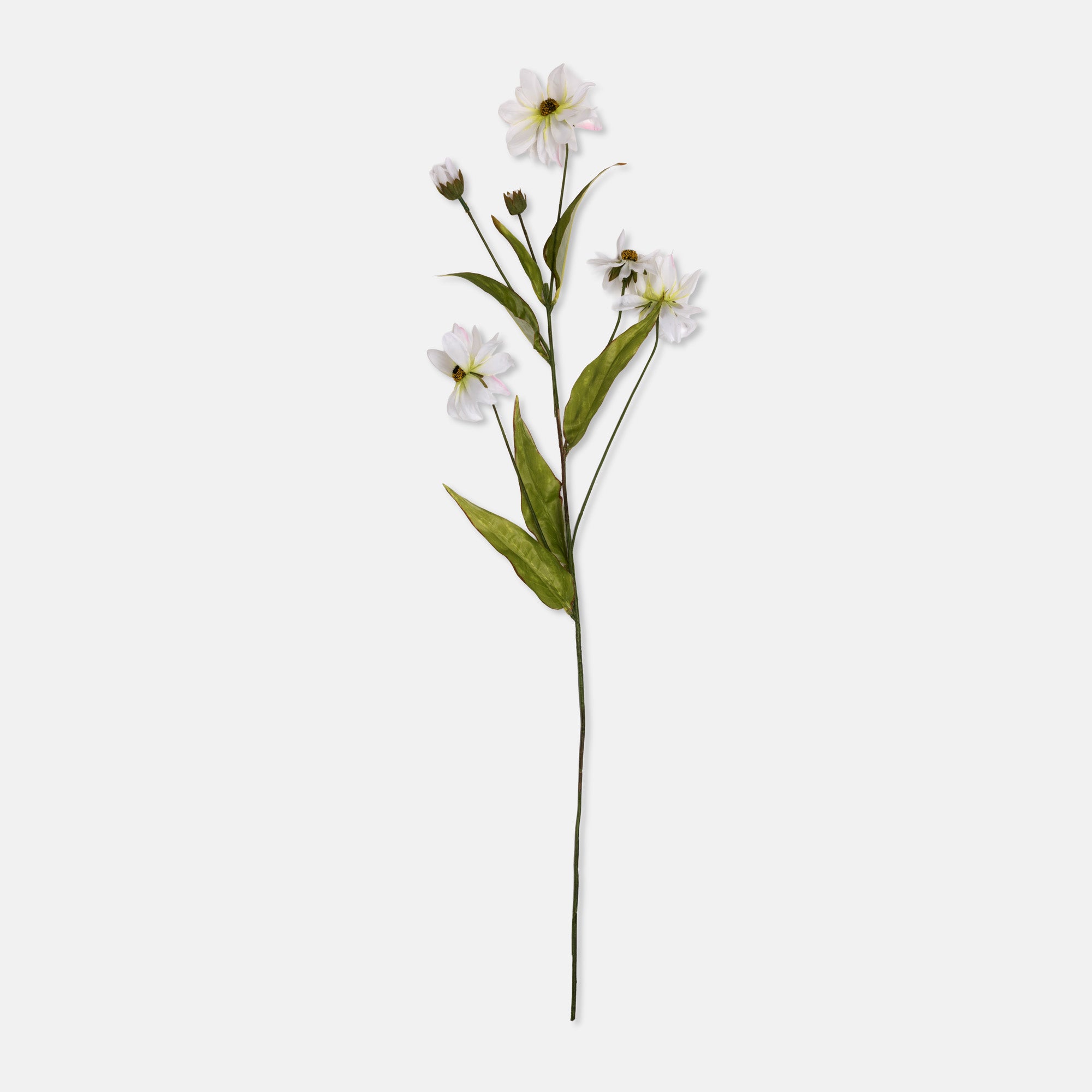 Abigail Ahern Faux Wild Cosmos on a white background at Addison West