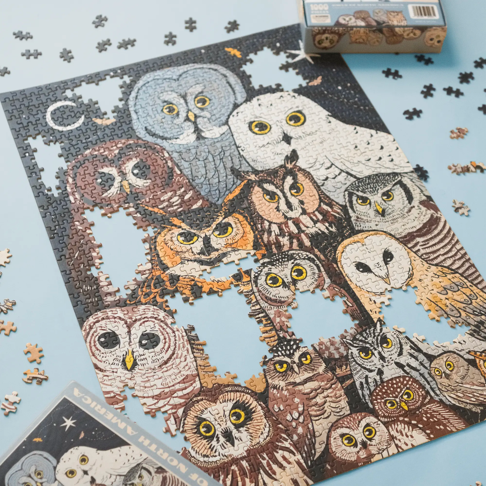 Owls of North America Puzzle on a white background at Addison West
