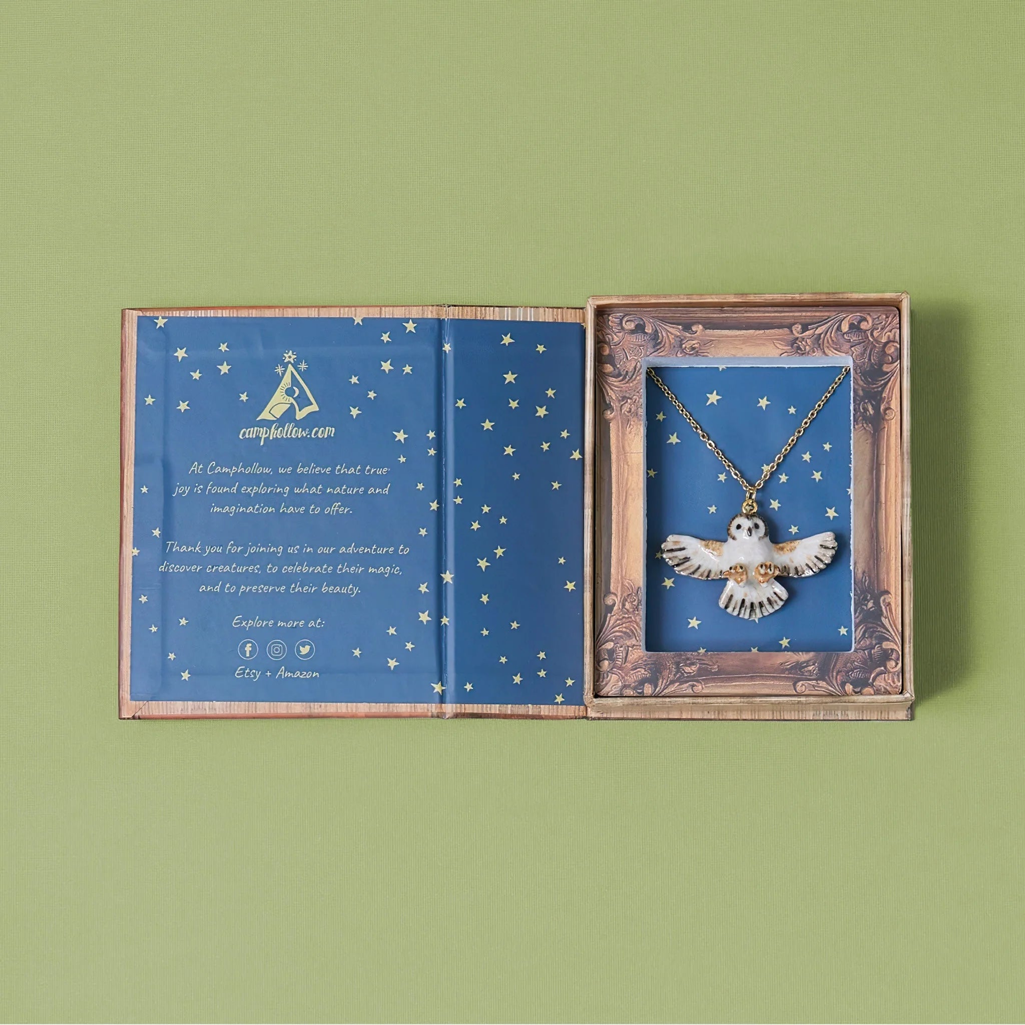 Barn Owl Necklace gift box on a green background at Addison West