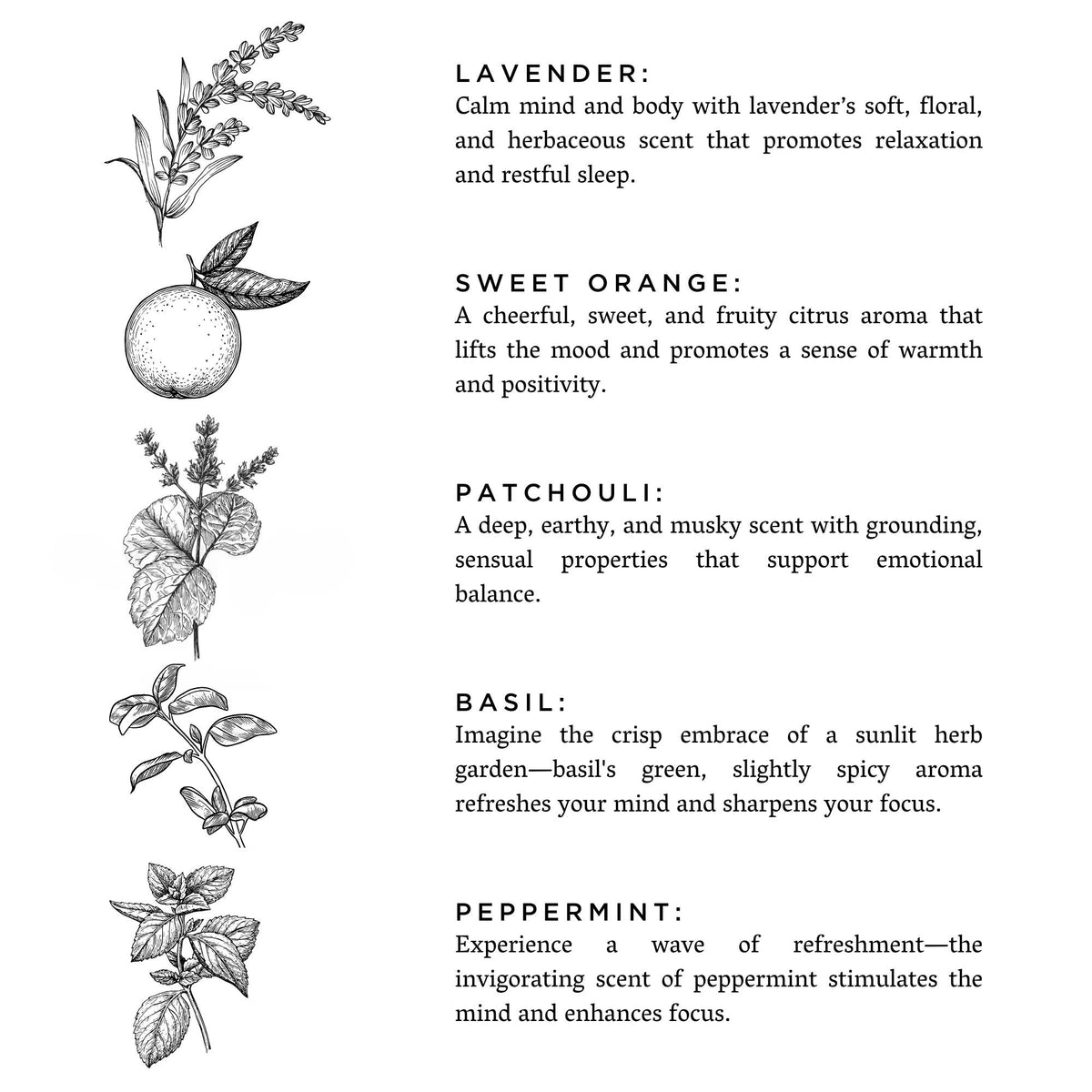 Revive Bath Salts on a white background at Addison West