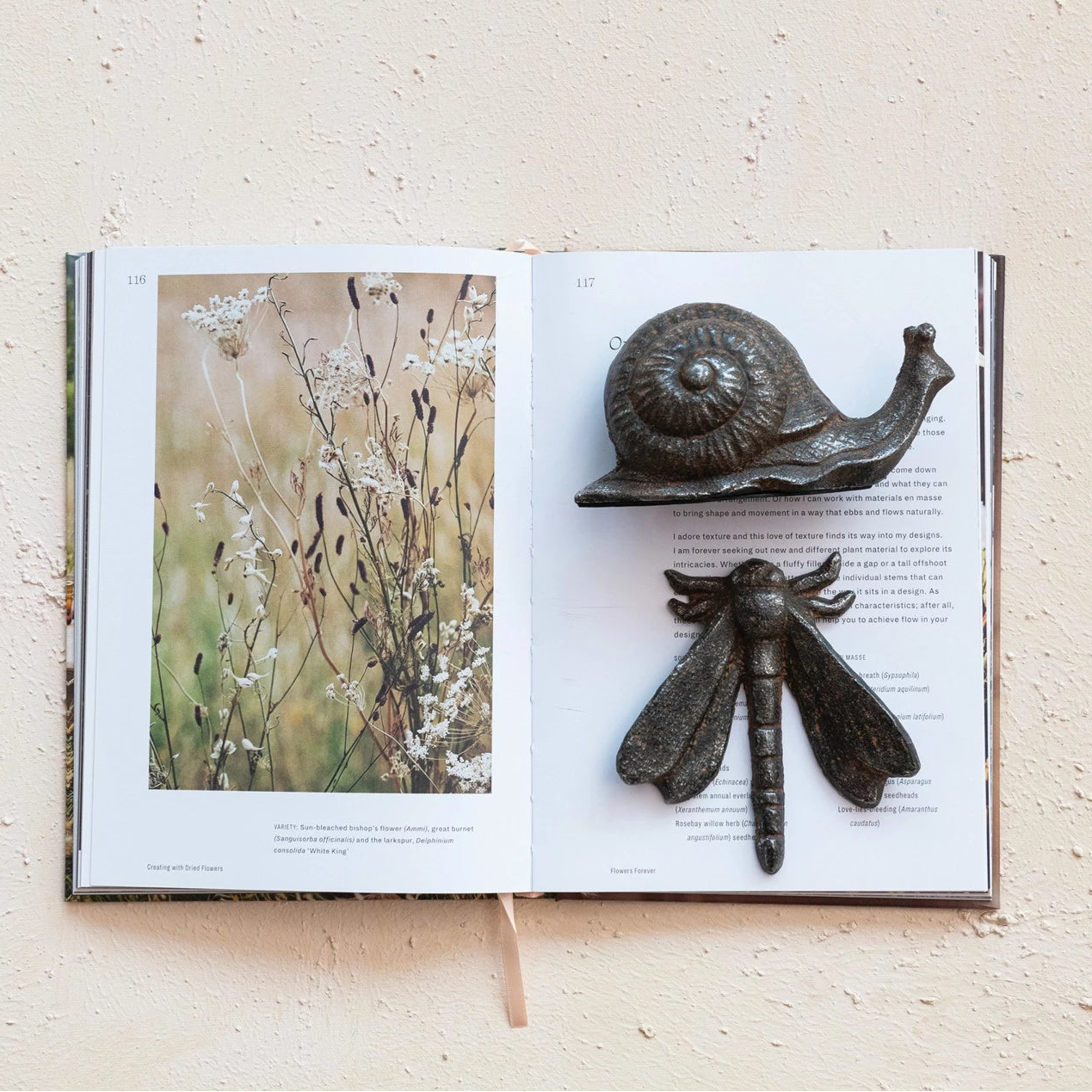 Cast Iron Snail on a book at Addison West