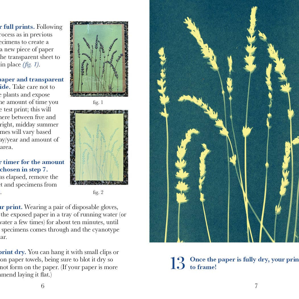 3-Color Botanical Cyanotype Kit pages at Addison West