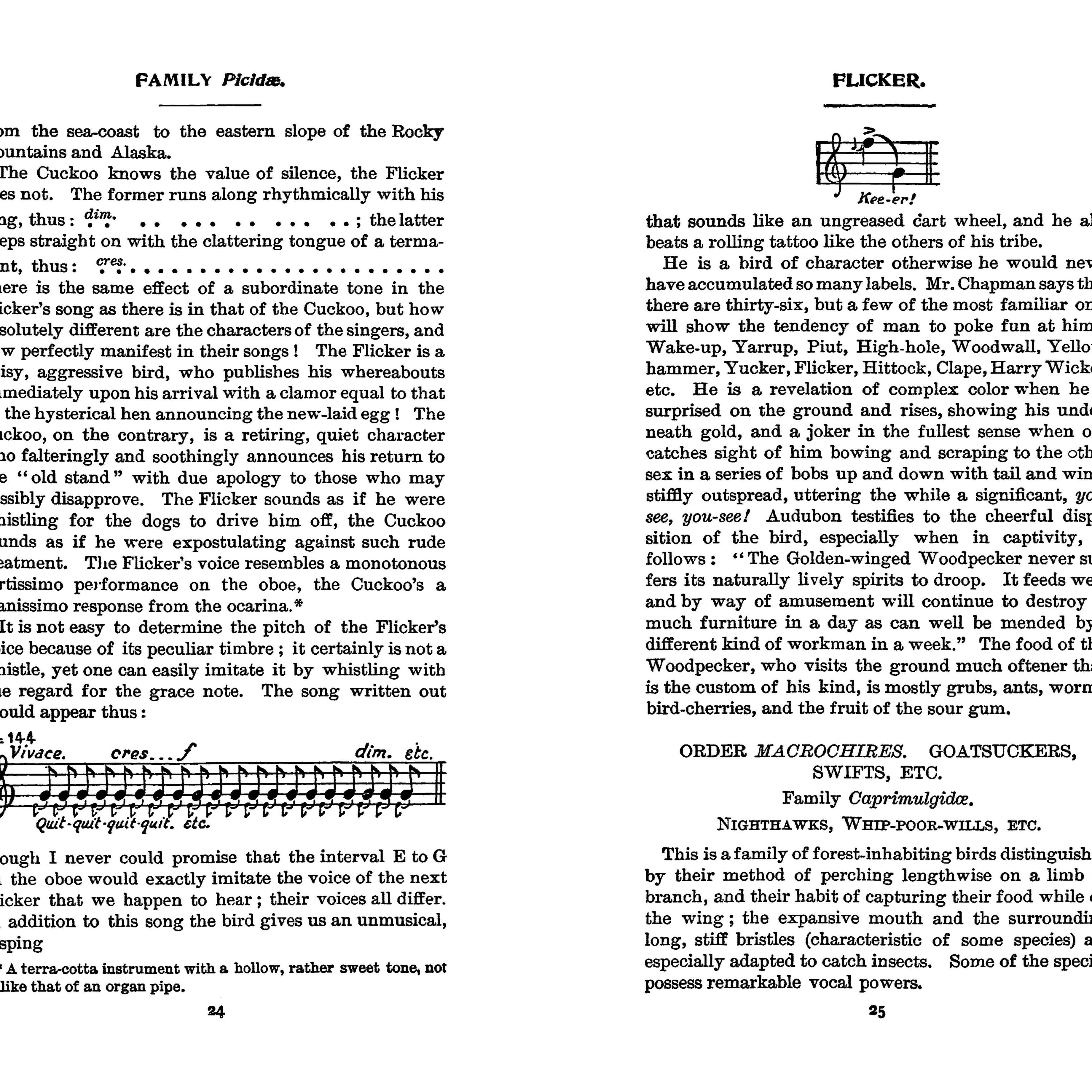 Field Book of Wild Birds and Their Music by F. Schuyler Mathews on a white background at Addison West