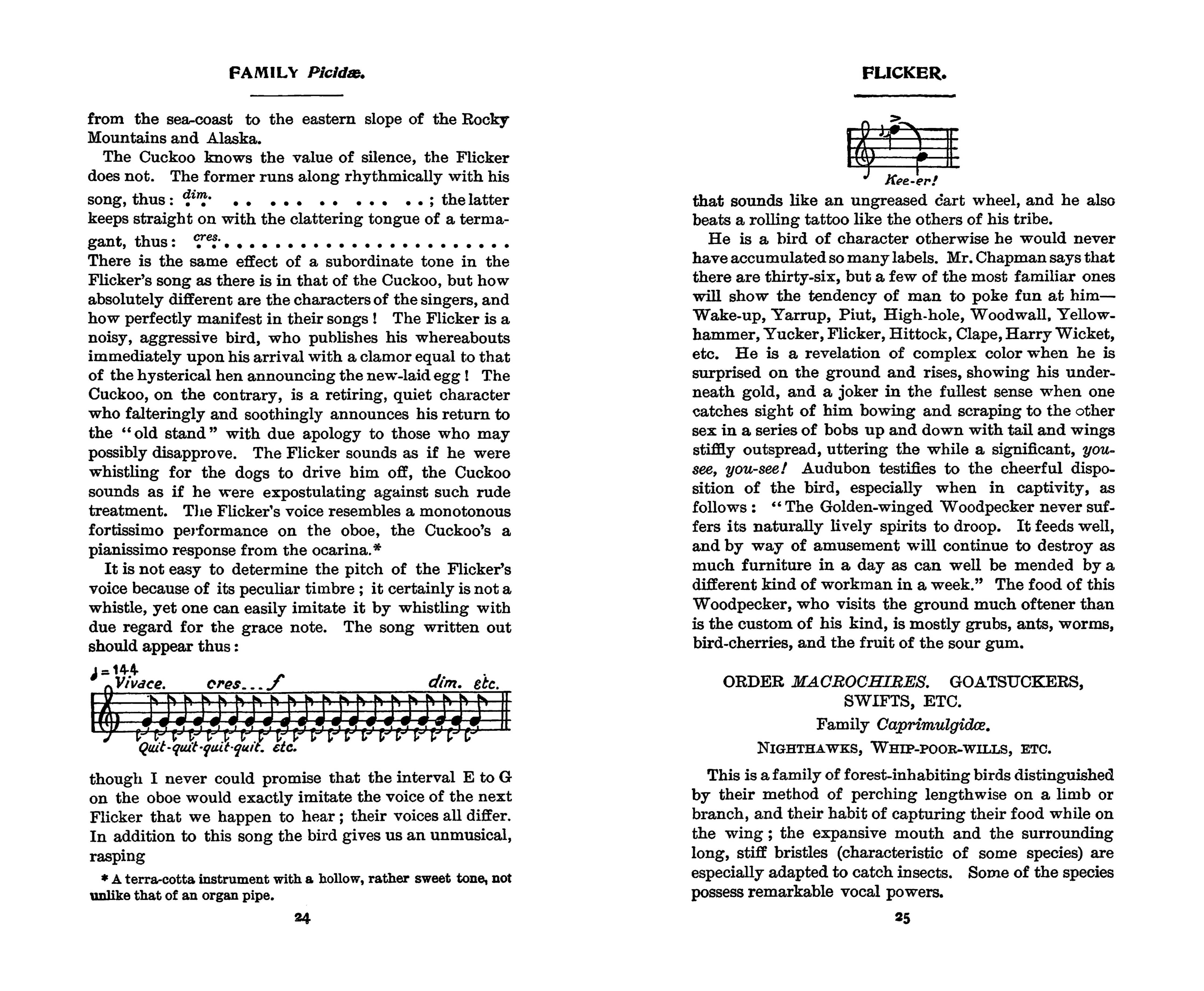 Field Book of Wild Birds and Their Music by F. Schuyler Mathews on a white background at Addison West