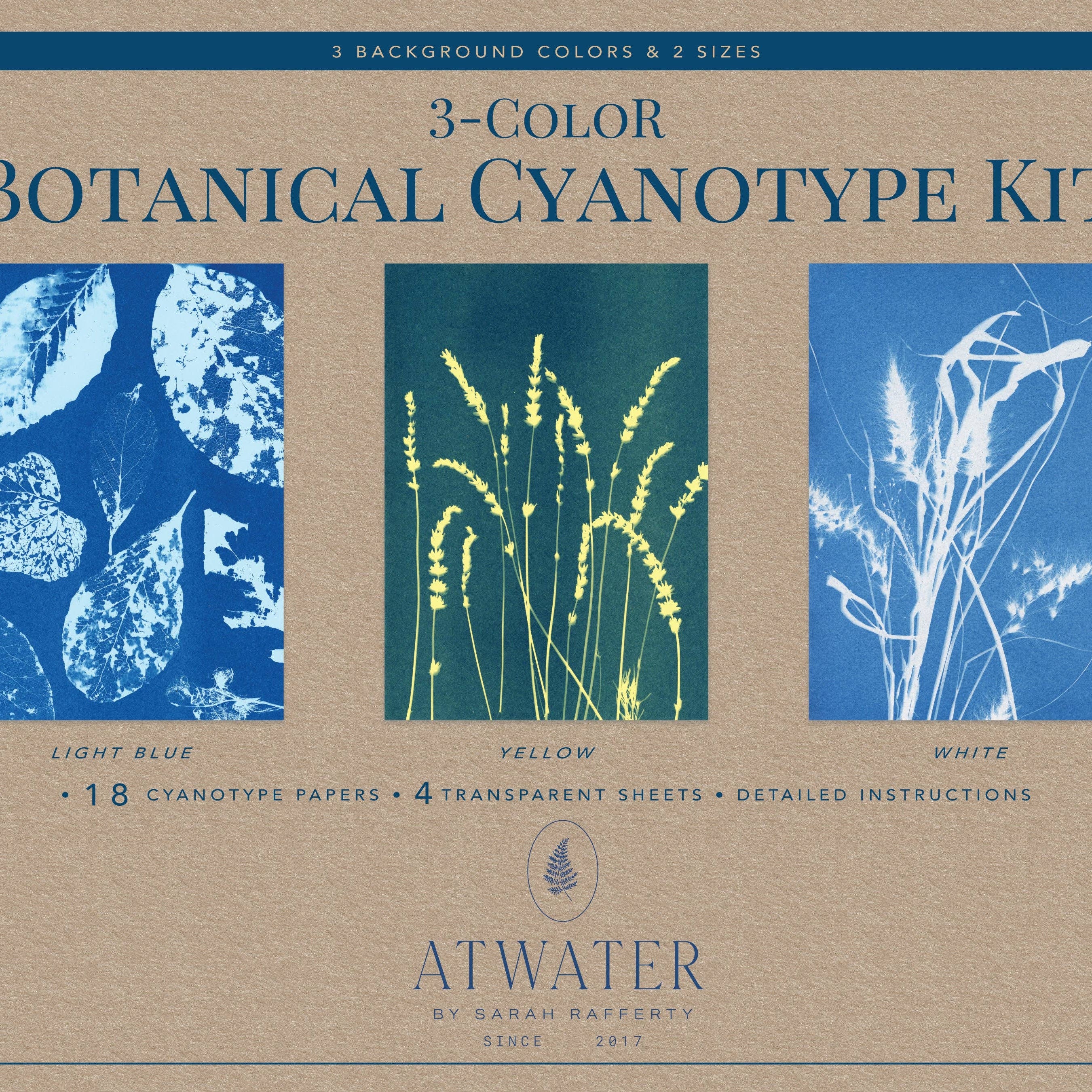 3-Color Botanical Cyanotype Kit at Addison West