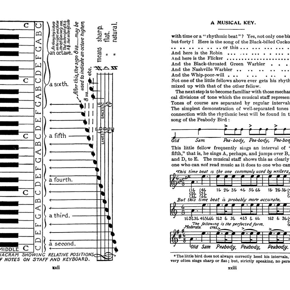 Field Book of Wild Birds and Their Music by F. Schuyler Mathews on a white background at Addison West