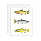 Trout Trio Card greeting card on a white background at Addison West