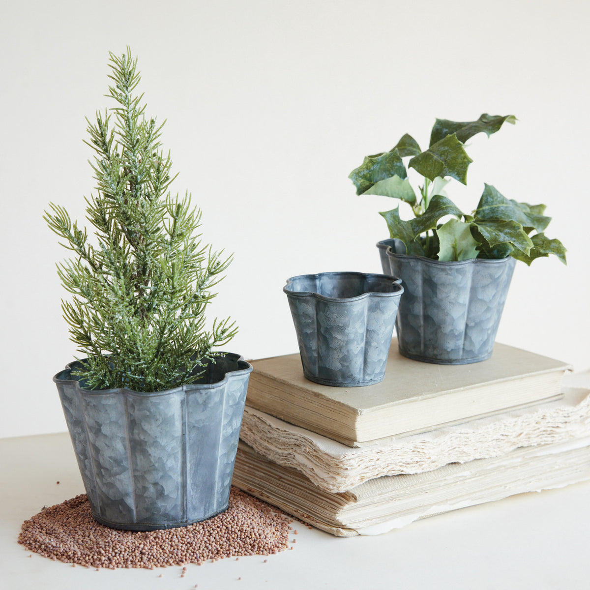 Galvanized Metal Planter With Scalloped Edge on a table at Addison West