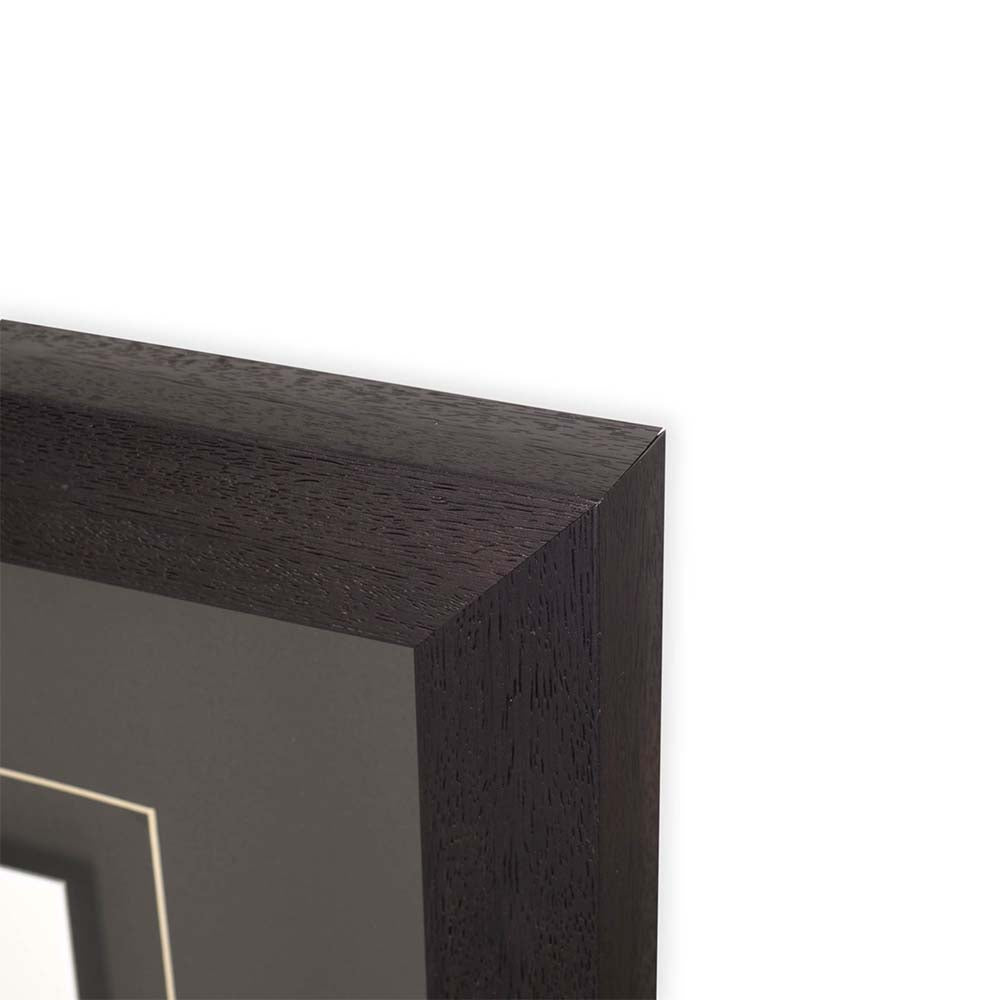 The Elk - Addison West