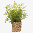 Artificial leather fern in woven seagrass basket on a white background