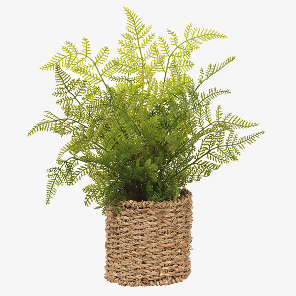 Artificial leather fern in woven seagrass basket on a white background 