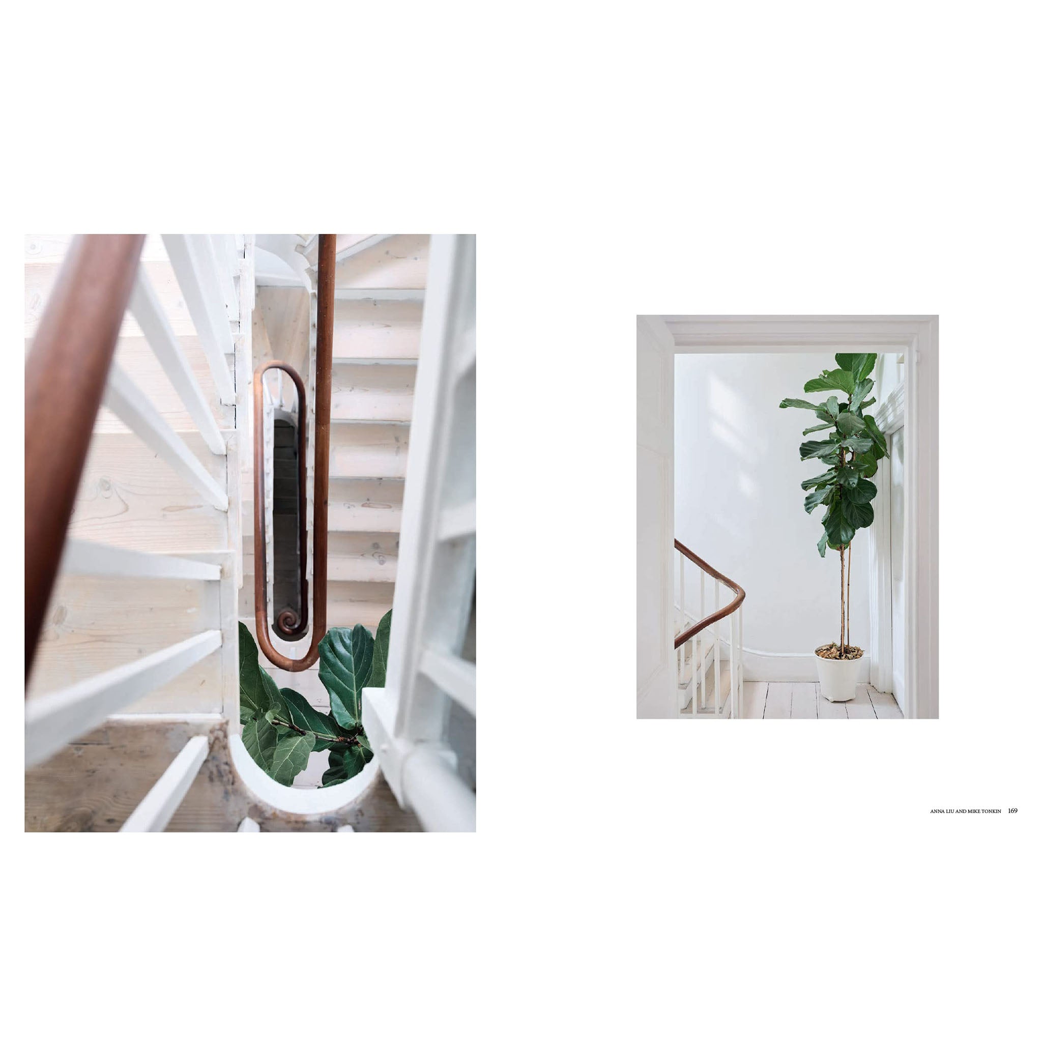 A New Leaf: Curated houses where plants meet Design - Addison West