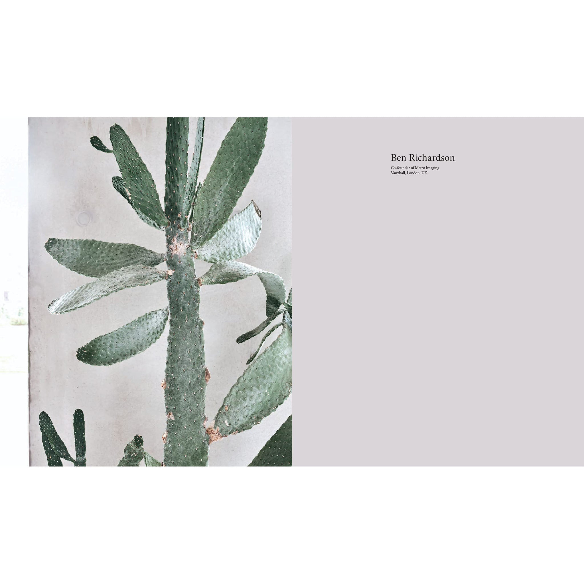 A New Leaf: Curated houses where plants meet Design - Addison West