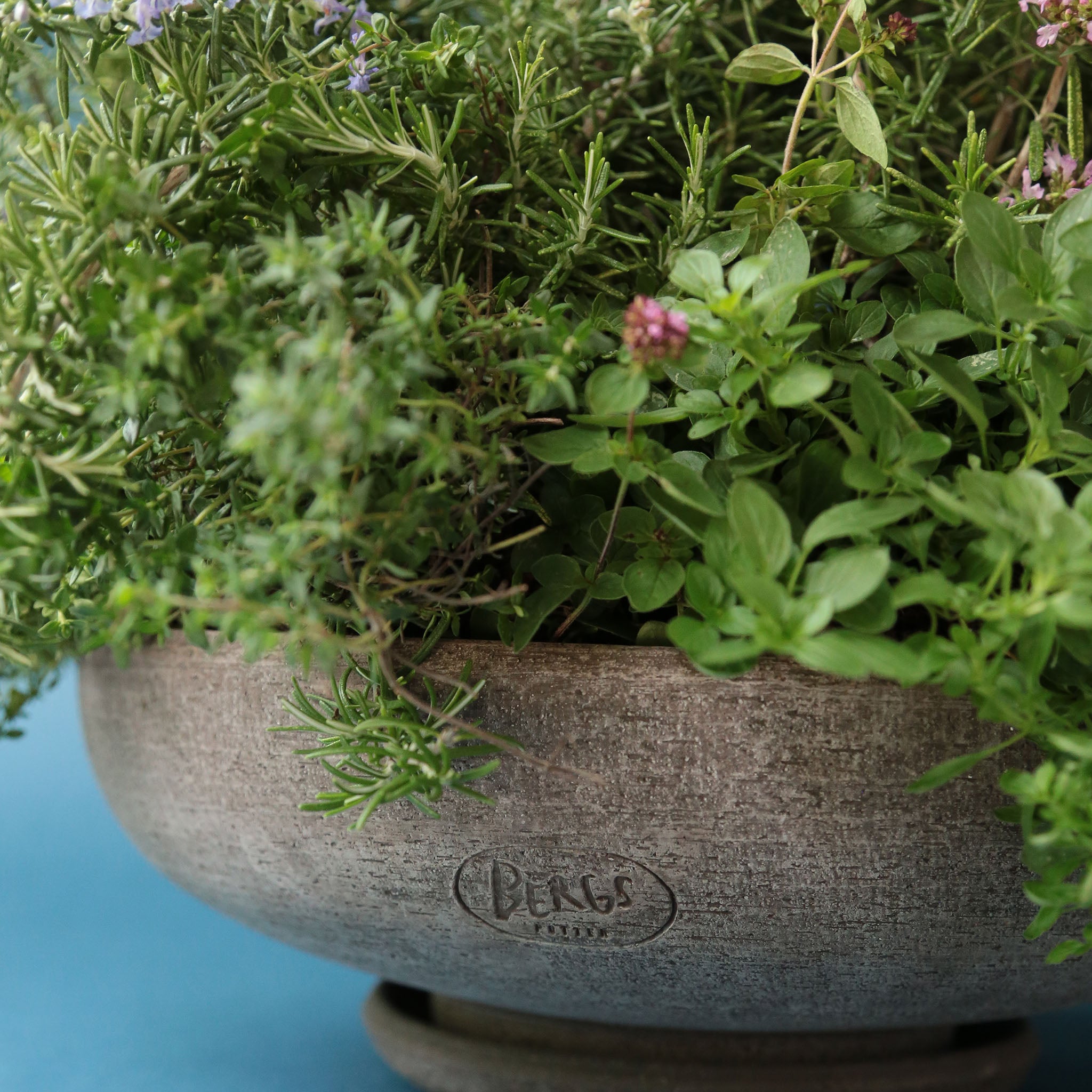 Berg's Pottery Ada Pot - Addison West