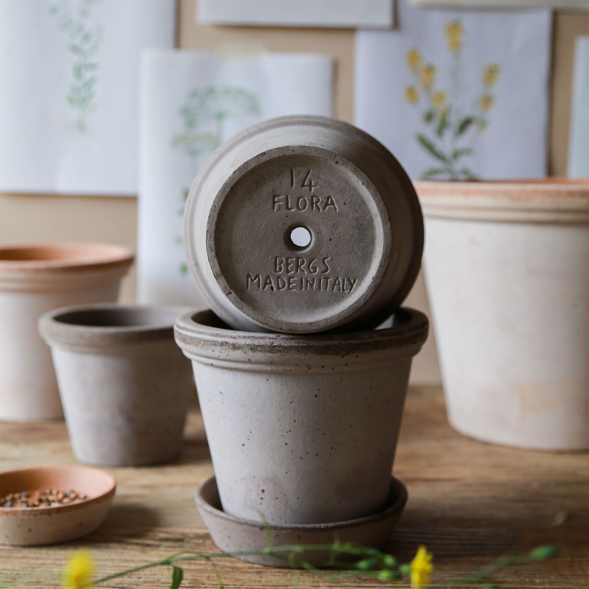 Berg's Pottery Grey Flora Pot Set - Addison West