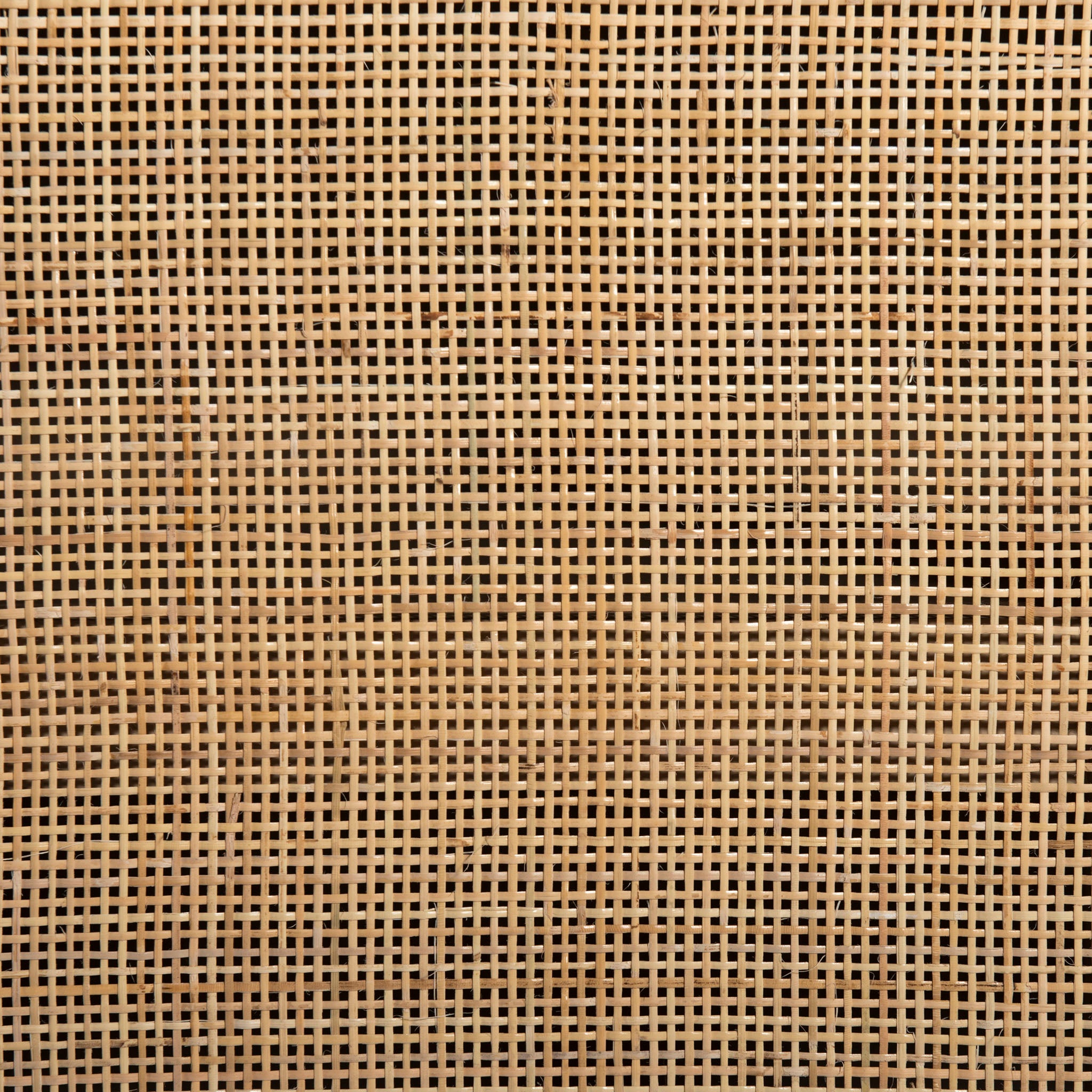 Four Hands Caprice Wide Bookshelf - Natural Mango - Addison West