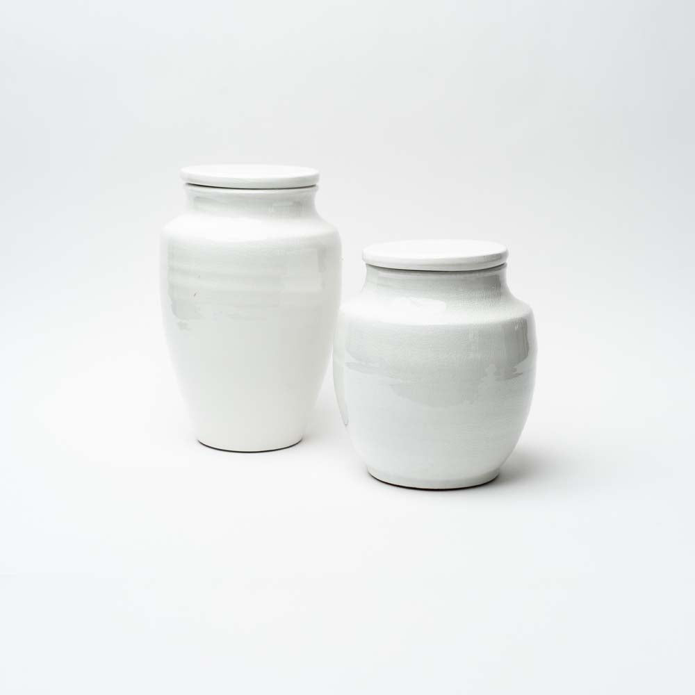 Set of two white cachepots on a white background