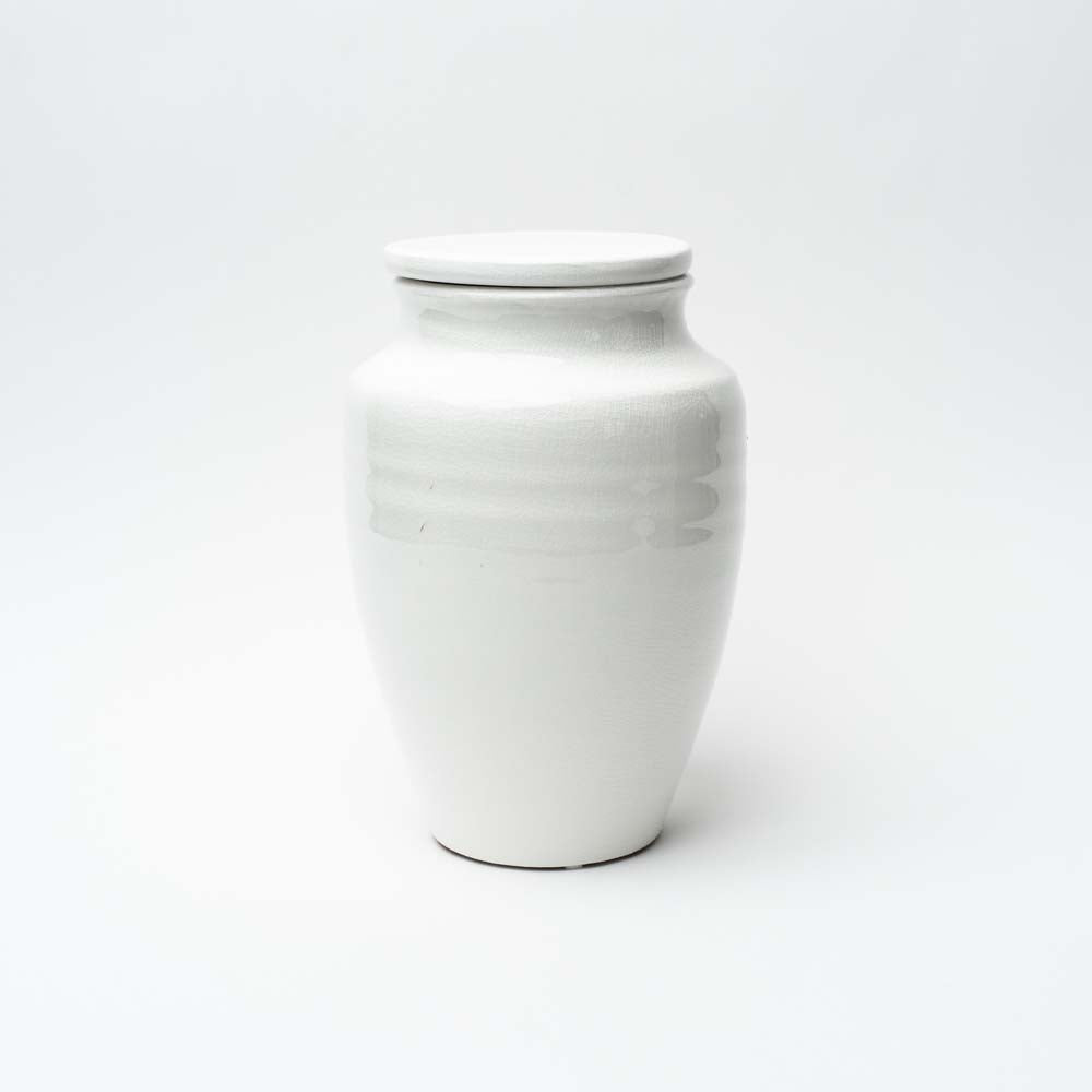 White ginger jar on a white background