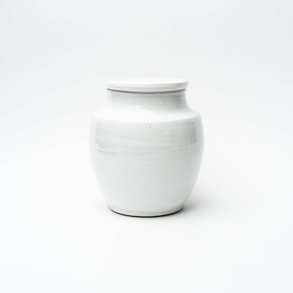 White ginger jar on a white background