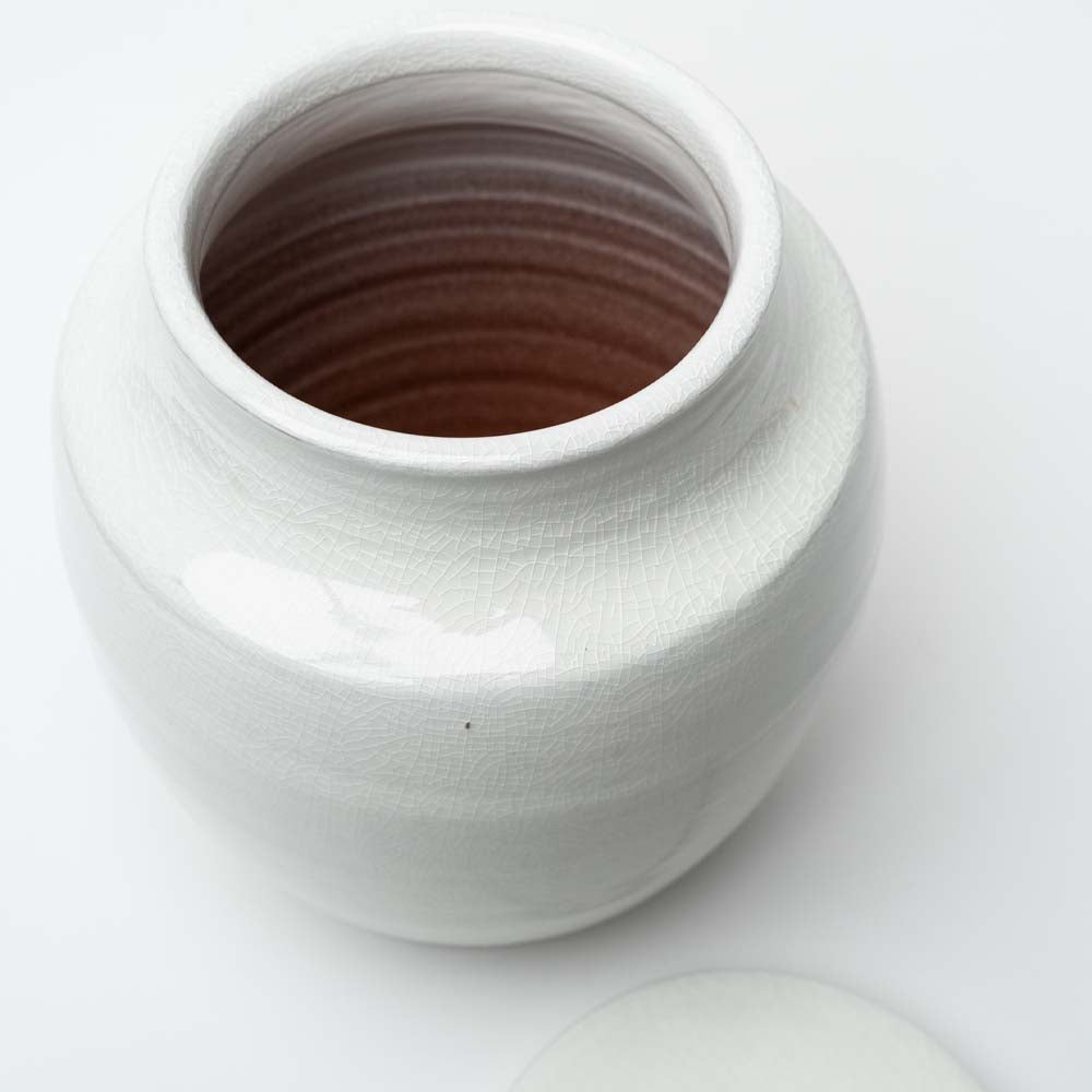 Interior view of white ginger jar on a white background