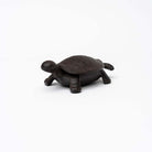Cast Iron Turtle Key Box on a white background