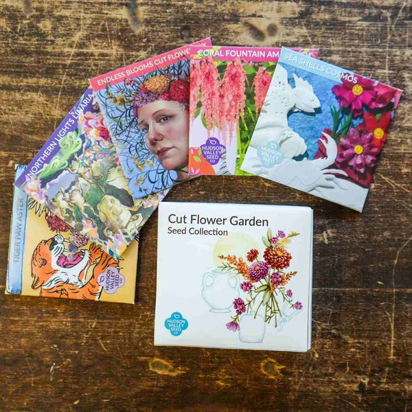 Hudson Valley Seed company Cut Flower Garden Seed Gift box with colorful seed packets in array on a wood surface