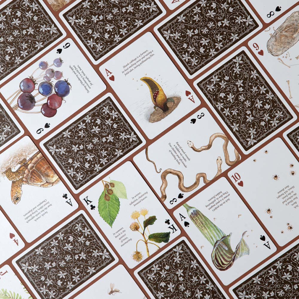 Art of Play brand Eastern Forest playing card slayed our to show designs on front and back