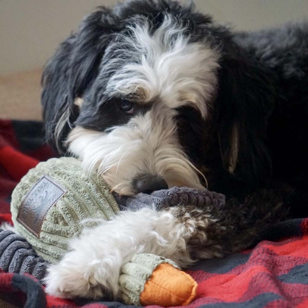 Plush Duck Squeaker Toy - Addison West