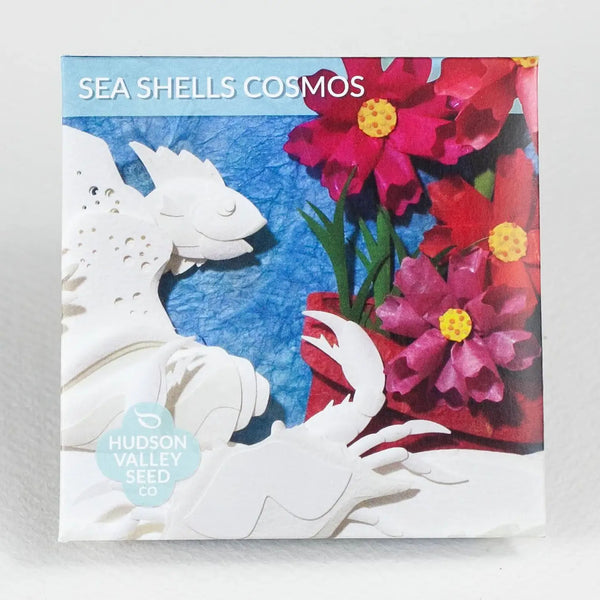 Hudson Valley Seed company Sea Shells Cosmo seed pack with pink flowers and white seaside creatures on a grey background