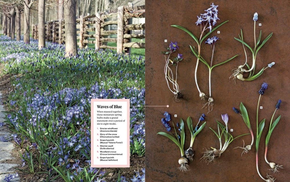Martha Stewart's Gardening Handbook at Addison West