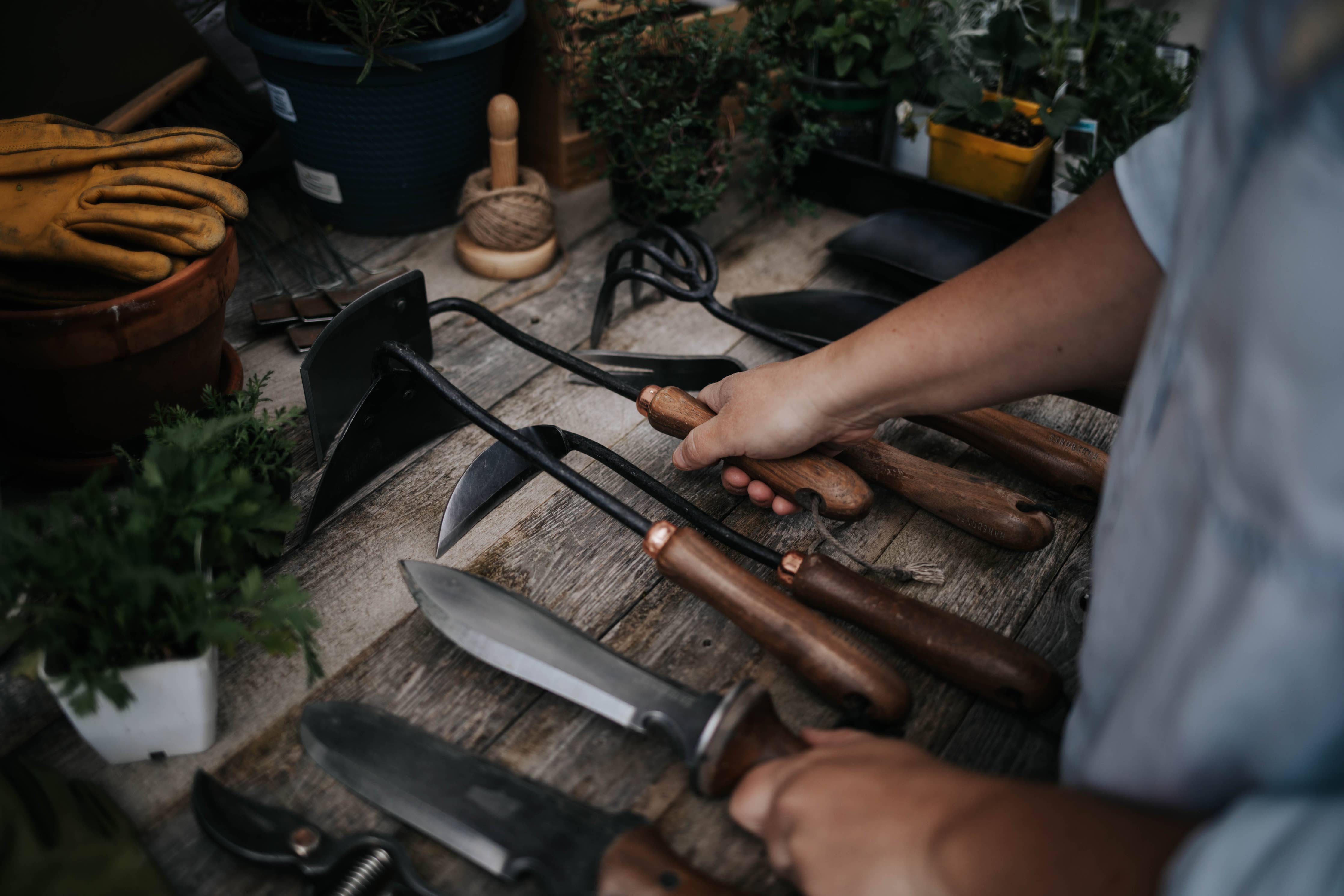 Barebone Hori Hori Ultimate with Sheath on a table  at Addison West