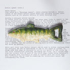 Green and yellow fish shaped bottle opener on a white sheet of paper with type face explaining bottle opener history