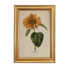 Vintage Sunflower Framed Artwork on a white background at Addison West