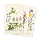 Set of three mini notebooks with botanical illustrations on a white background