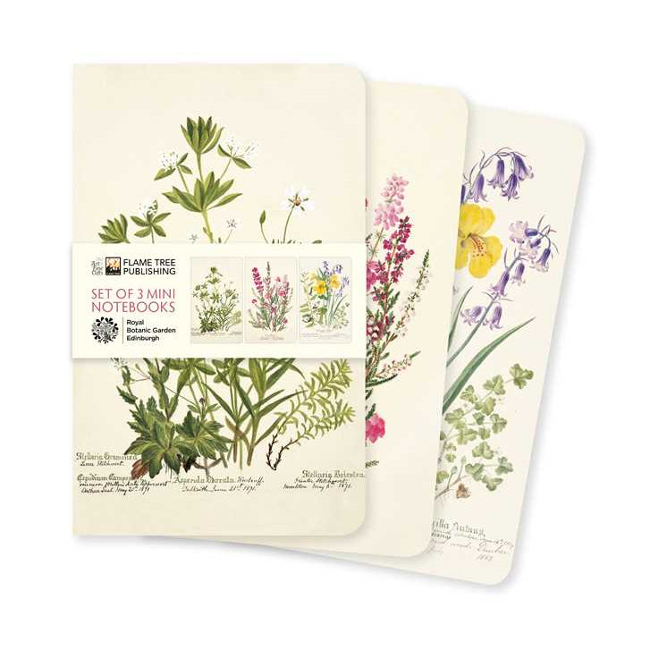 Set of three mini notebooks with botanical illustrations on a white background