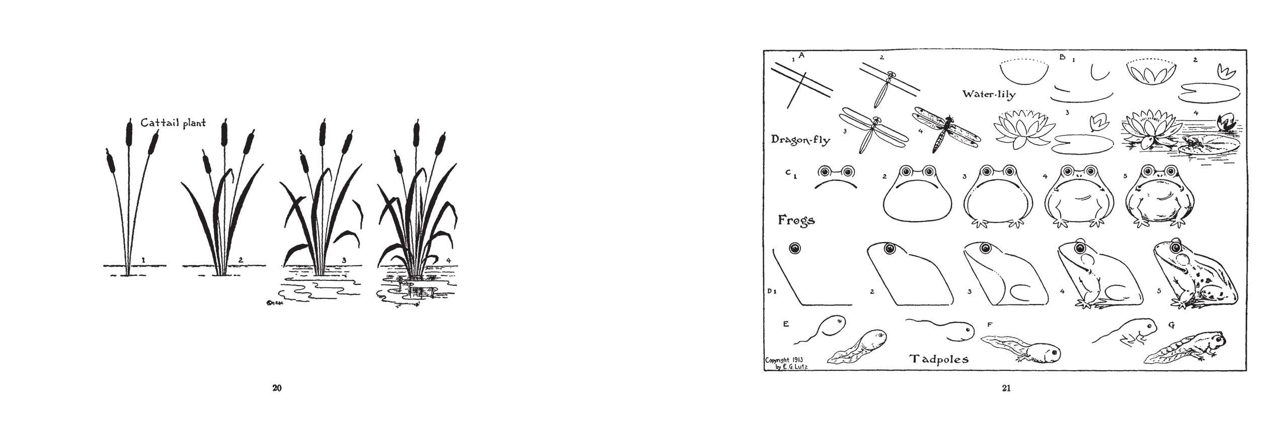 What to Draw and How to Draw It by E.G. Lutz on a white background at Addison West