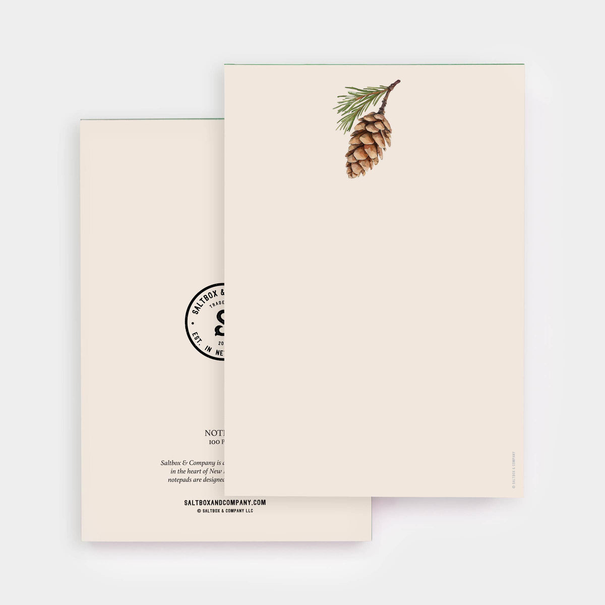 Cream notepad with a Pinecone drawing on top on a white background