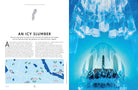 Epic Snow Adventures of the World By Lonely Planet on a white background at Addison West