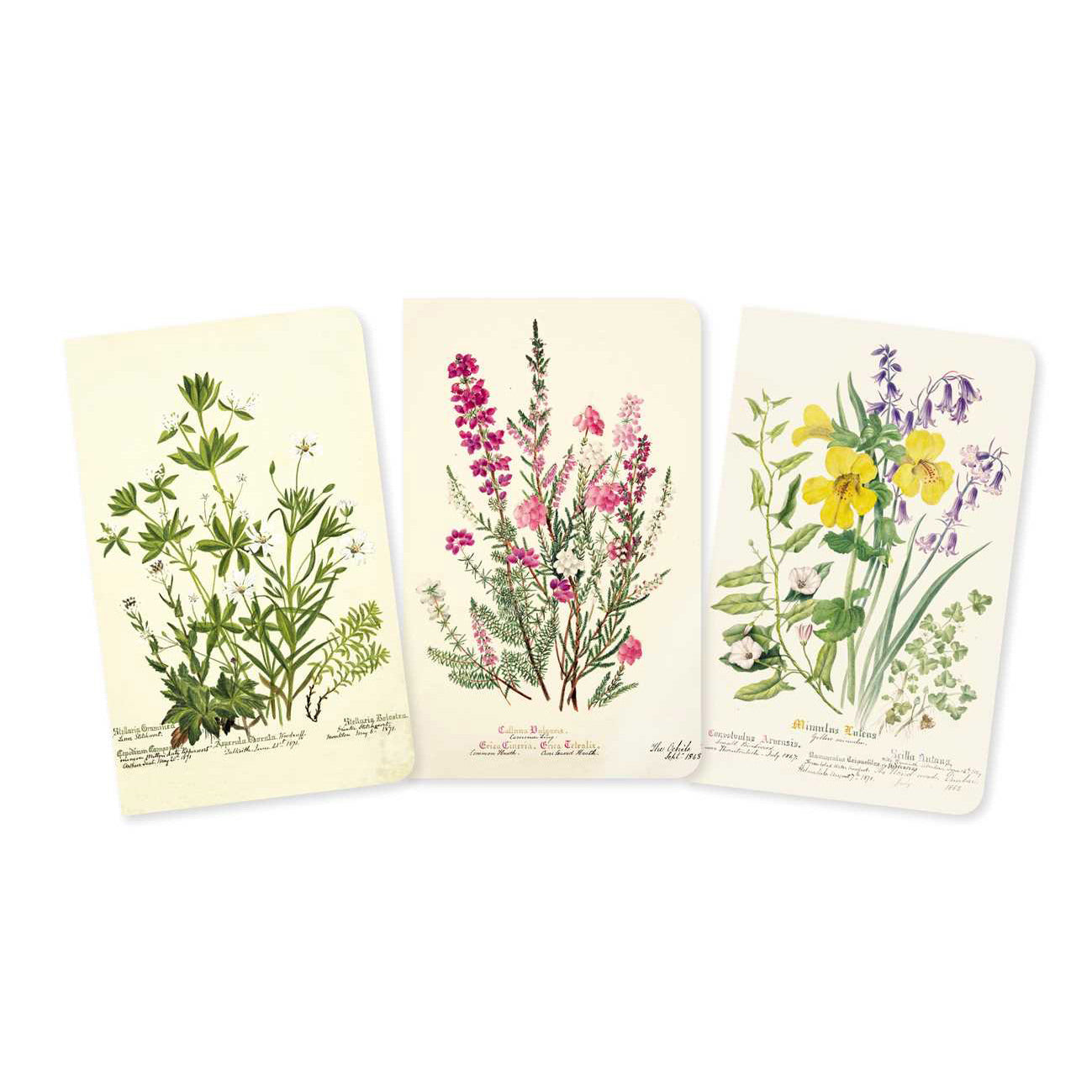 Edinburgh Garden, Set of 3 Mini Notebooks on a white background at Addison West