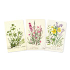 Edinburgh Garden, Set of 3 Mini Notebooks on a white background at Addison West