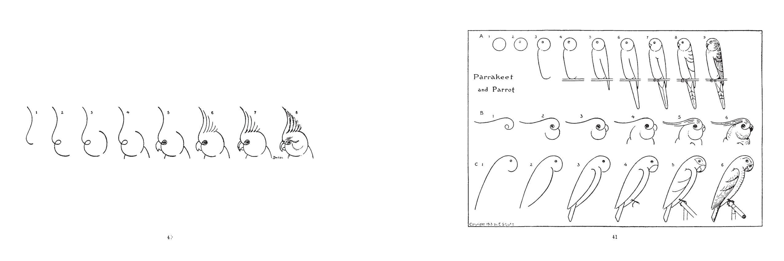 What to Draw and How to Draw It by E.G. Lutz on a white background at Addison West