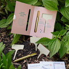 Heirloom Vegetables Seed Library in a garden at Addison West