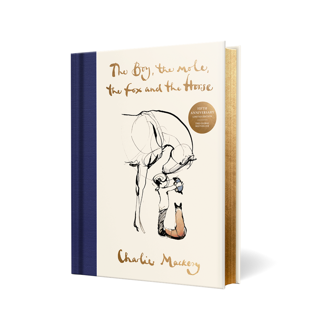 Book titled 'The Boy, the Mole, the Fox and the Horse' by Charlie Mackesy with illustrations on a white background.