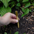 Heirloom Vegetables Seed Library in a garden at Addison West