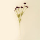 Calliopsis Spray in Deep Purple on a beige background at Addison West