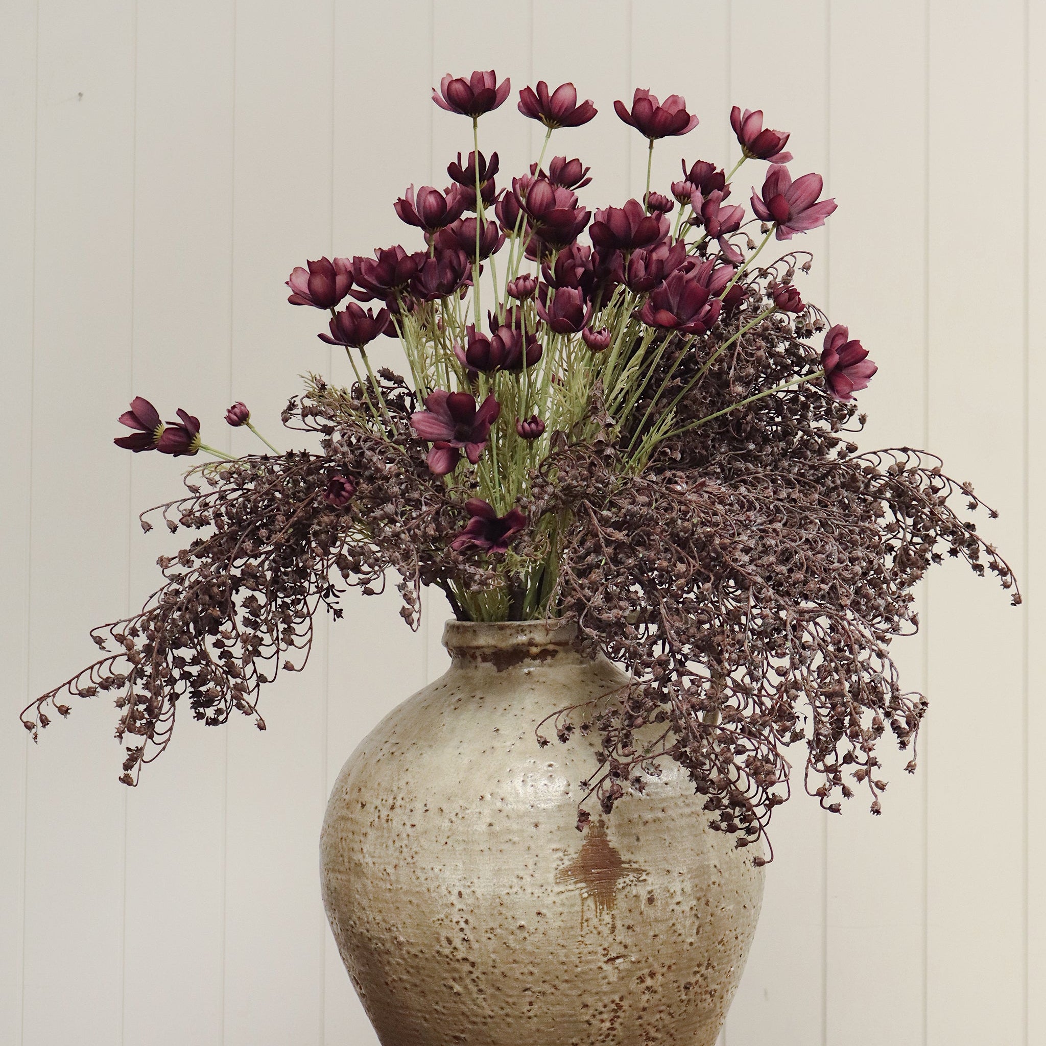 Calliopsis Spray in Deep Purple on a beige background at Addison West