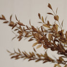 Willow Leaf Spray in Harvest on a beige background at Addison West